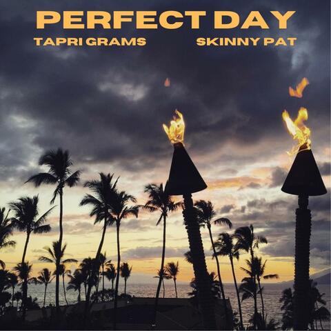 Perfect Day (feat. Tapri Grams)