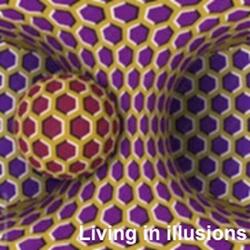 Living in illusions