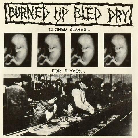Cloned Slaves... For Slaves...