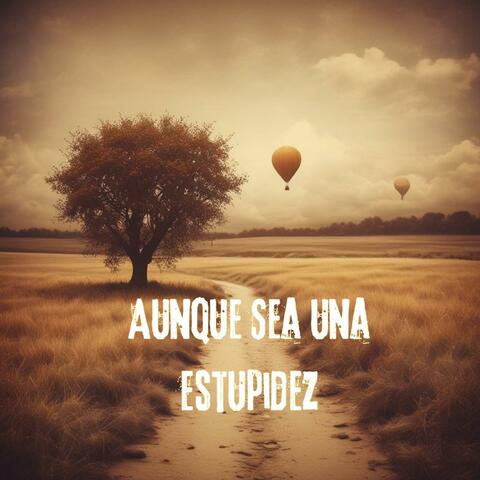 Aunque Sea una Estupidez