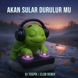 Akan Sular Durulur Mu (Club Remix)