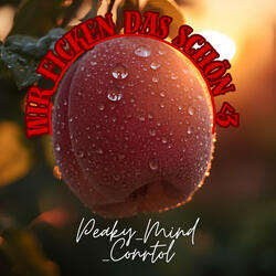 Wir ficken das Schöne