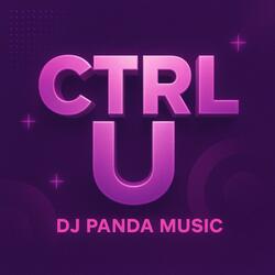 CTRL U