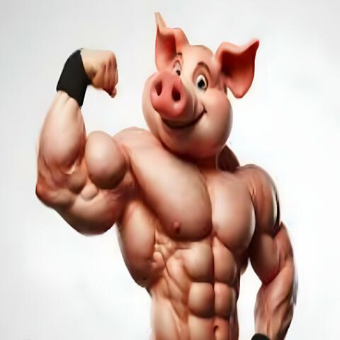 Mr PiGgY RaP