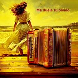 Me duele tu olvido