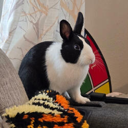 Boy, It Ain't Easy Pleasing You