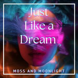Just Like a Dream