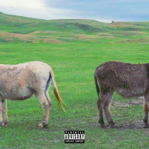 JACKASS (feat. T.R.I.P)