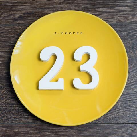 23