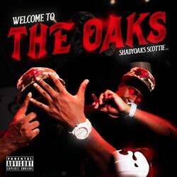 Hood star (feat. FBG Josh)