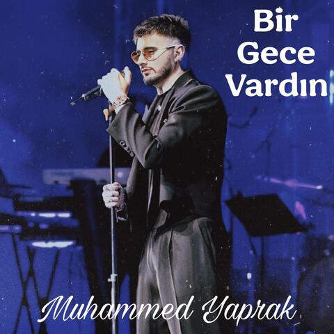 Bir Gece Vardın