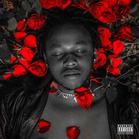 Bed Of Roses, Vol. 2