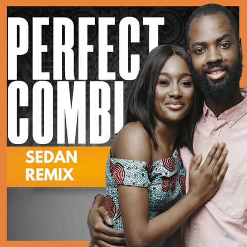 Perfect Combi (Sedan Remix)