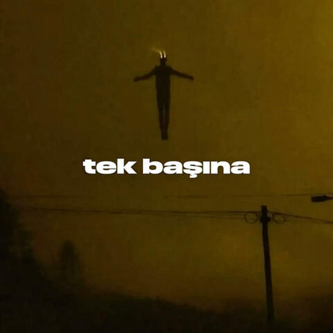 tek başına
