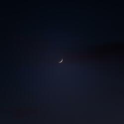 Midnights