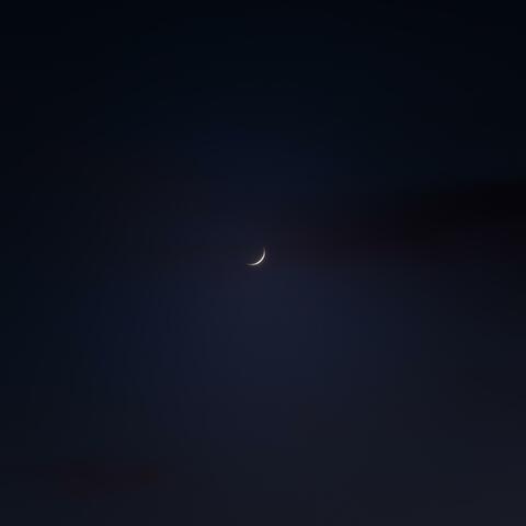 Midnights