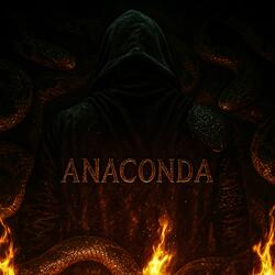 Anaconda