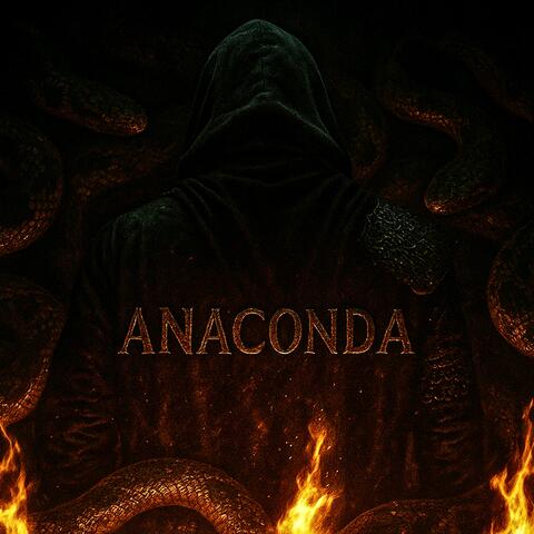 Anaconda