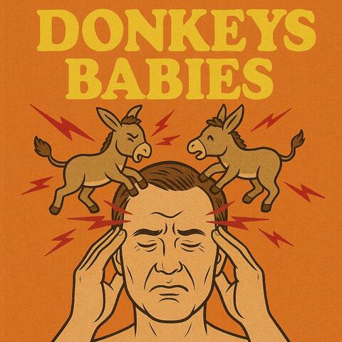 Donkeys Babies