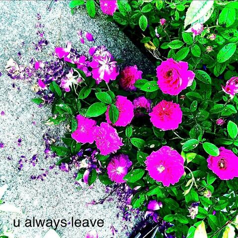 u always leave