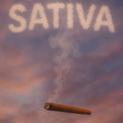 Sativa