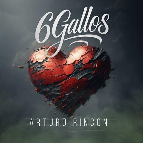 6 Gallos