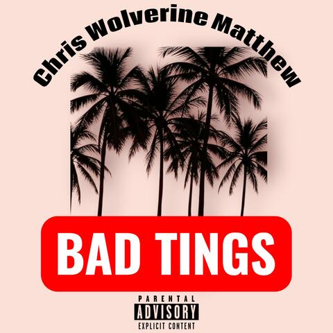 BAD TINGS (Radio Edit)