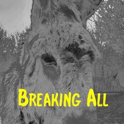 Breaking All