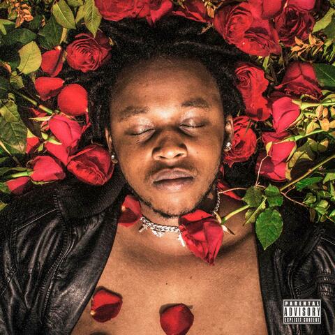Bed Of Roses