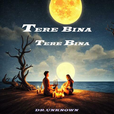 TERE BINA TERE BINA