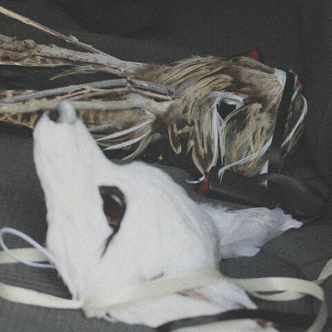 nothing to do, nowhere to be