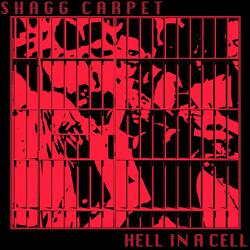 HELL IN A CELL
