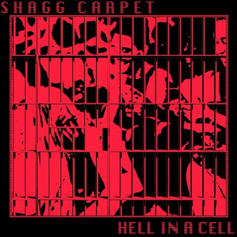 HELL IN A CELL