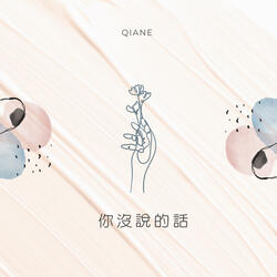 你沒說的話