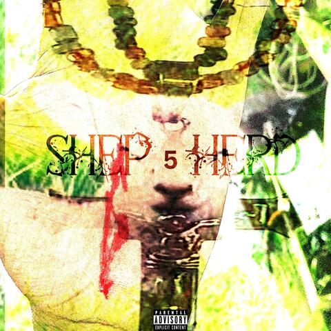 Shep5herd