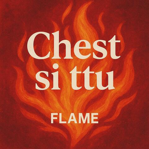 Chest si ttu