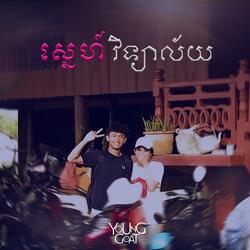 ស្នេហ៍វិទ្យាល័យ | Young Love