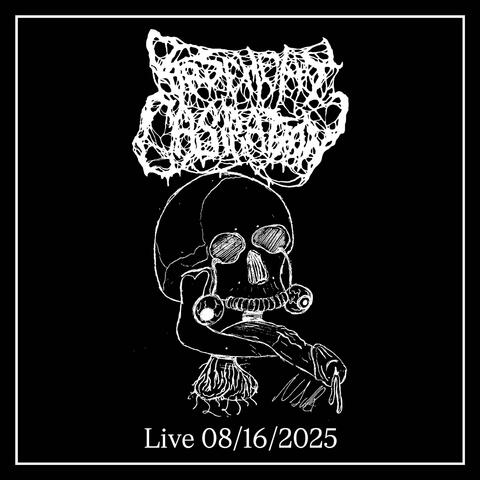 Basement Casration Live at The Jolly Llama 08/16/2025