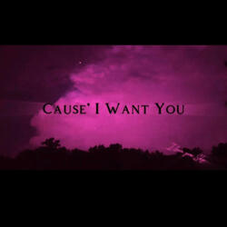 Cause' I Want You