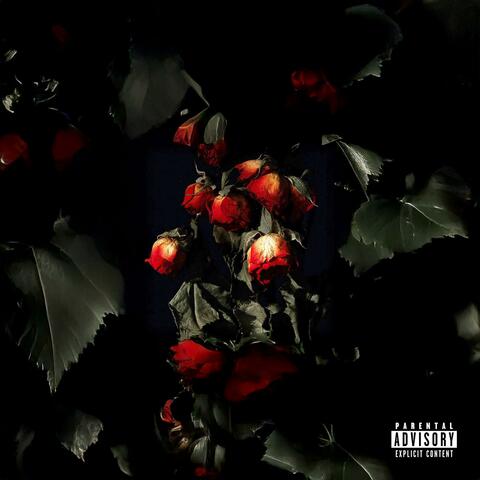 Feeling This Feeling Again