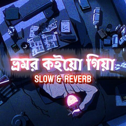 Bhromor koiyo giya Lofi (Sheikh Bijoy)