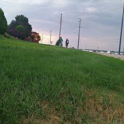 whatyou('ve)cometo (feat. Rogelio)