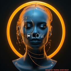 Flow