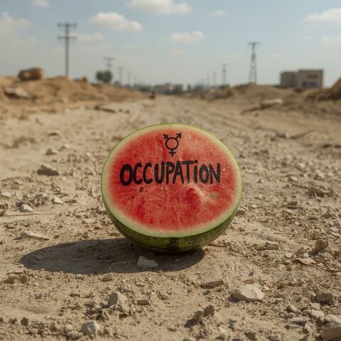 OCCUPATION