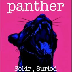 Panther (feat. 8uried)