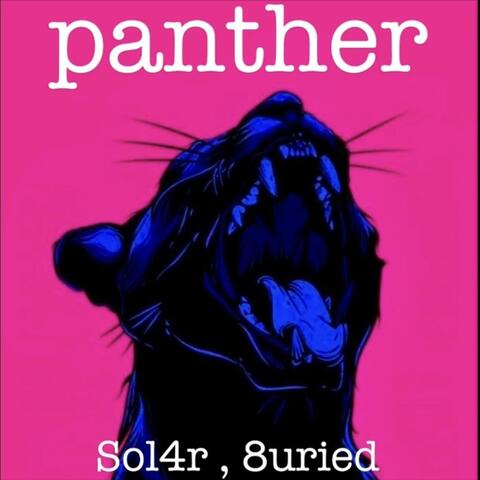Panther (feat. 8uried)