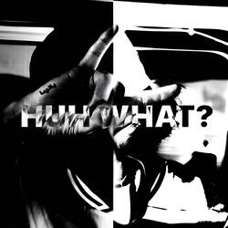 HUH WHAT?