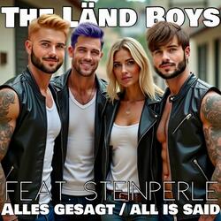Alles gesagt / all is said (feat. Steinperle)