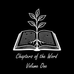 The Book of Luke (Good News of great joy)