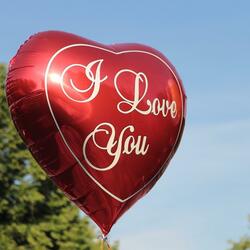 Phasen der Liebe